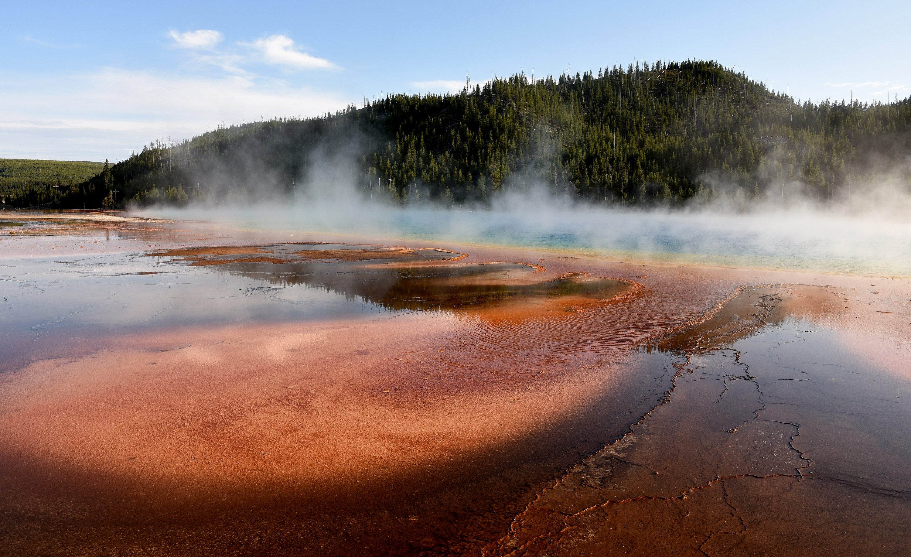 Virtual Learning with Photography: Ways to Amplify Student Voices 