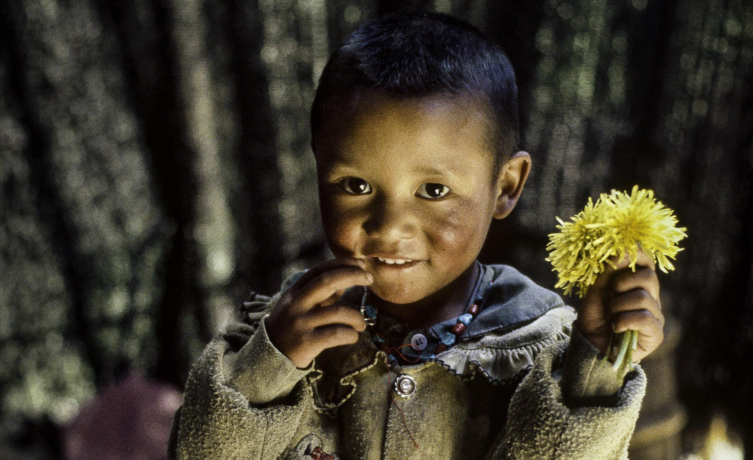 The Power of Curiosity | Global Oneness Project