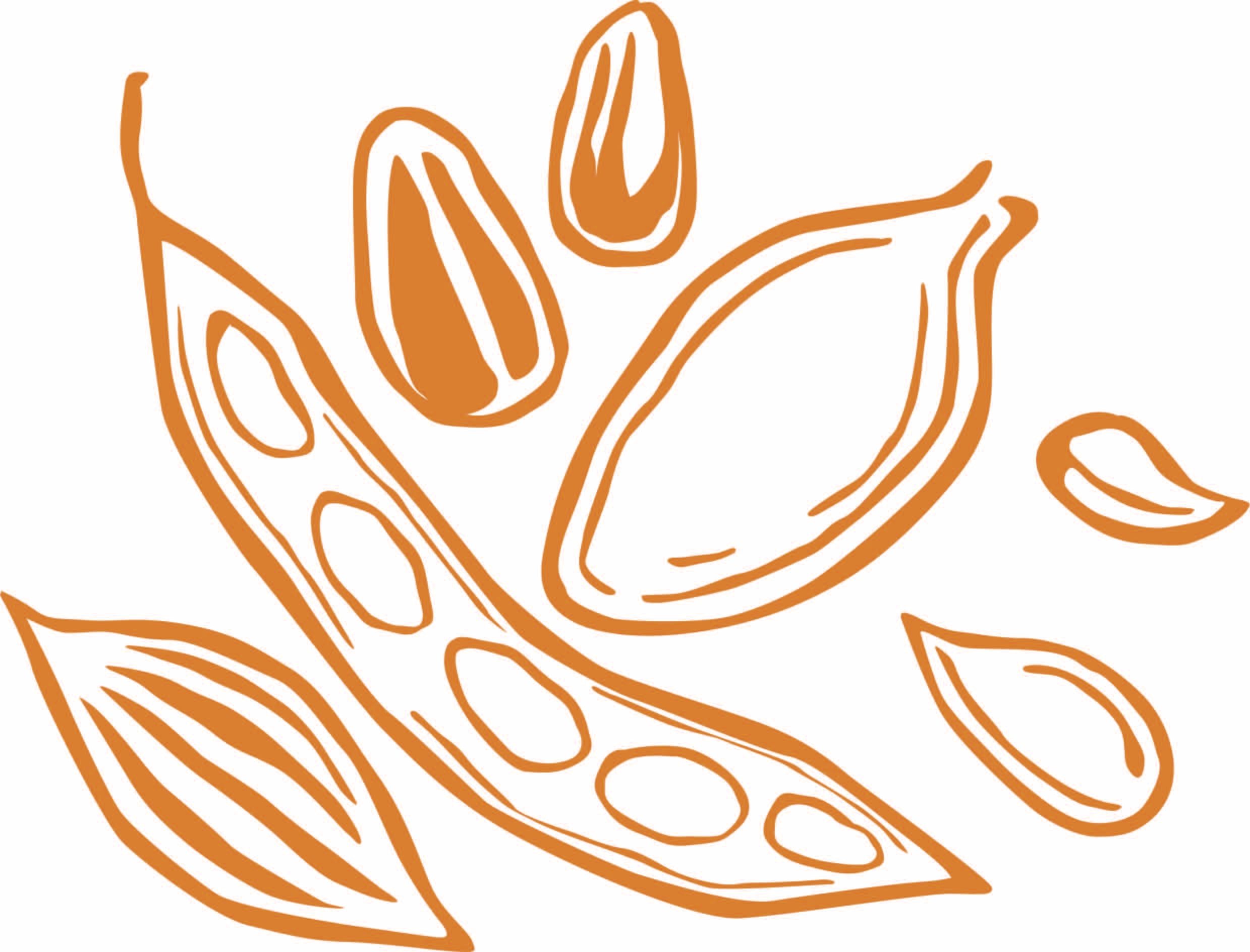 Family Food Traditions