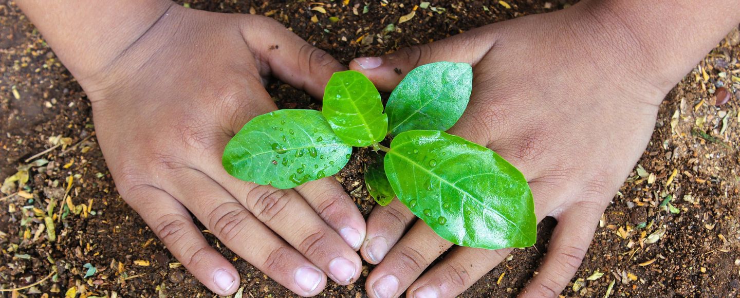 Free Resources for Teachers on Earth Day