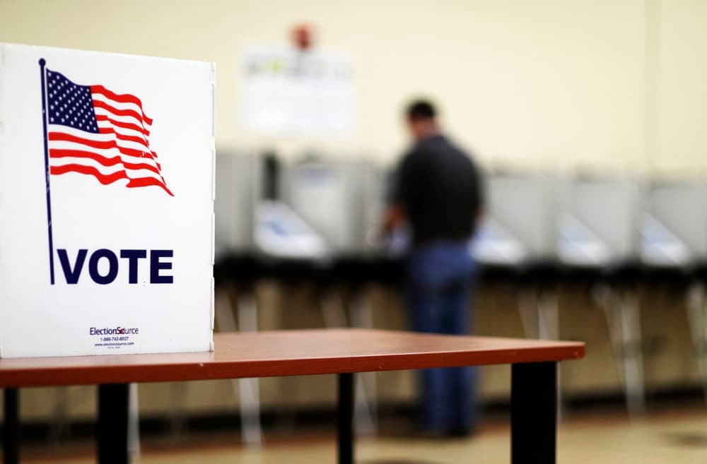 Election Reform: Contacting Your Elected Officials