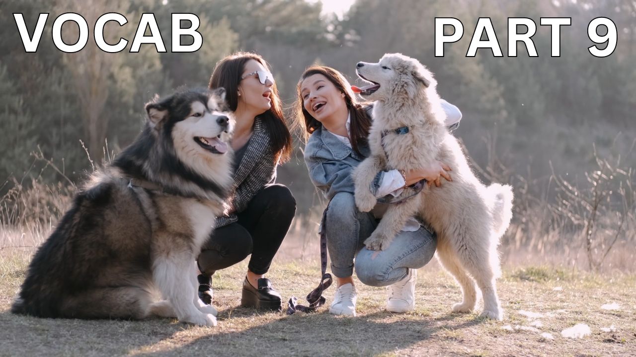 Vocabulary Builder Part 9 Video sheet, Google Forms, Canvas & more V2