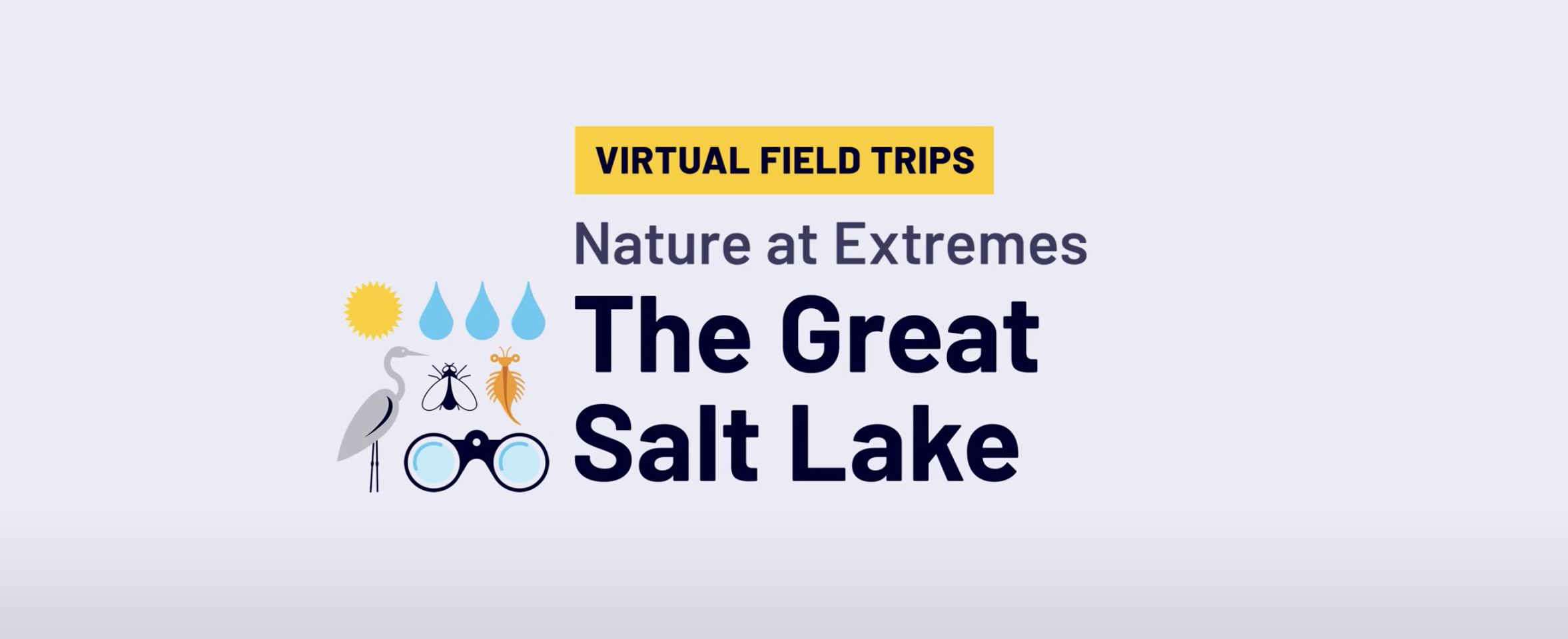 Bring Biodiversity to Your Classroom with Utah's Great Salt Lake