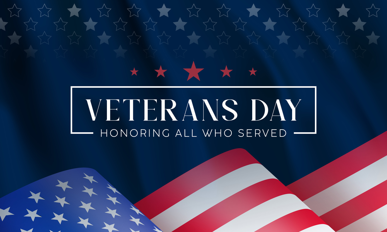 Veterans Day Activities and Lesson Plans