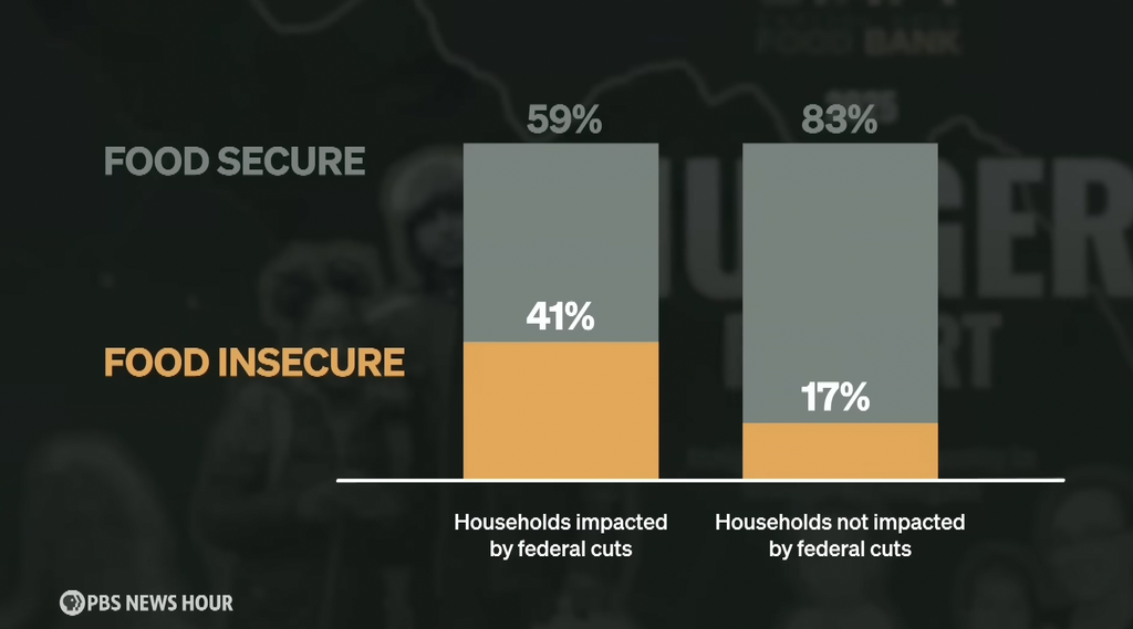 Bar chart comparing food insecurity in households impacted by federal cuts versus those not impacted. Among impacted households, 41% are food insecure and 59% are food secure. In contrast, only 17% of non-impacted households are food insecure, with 83% food secure. Source: PBS NewsHour Hunger Report.