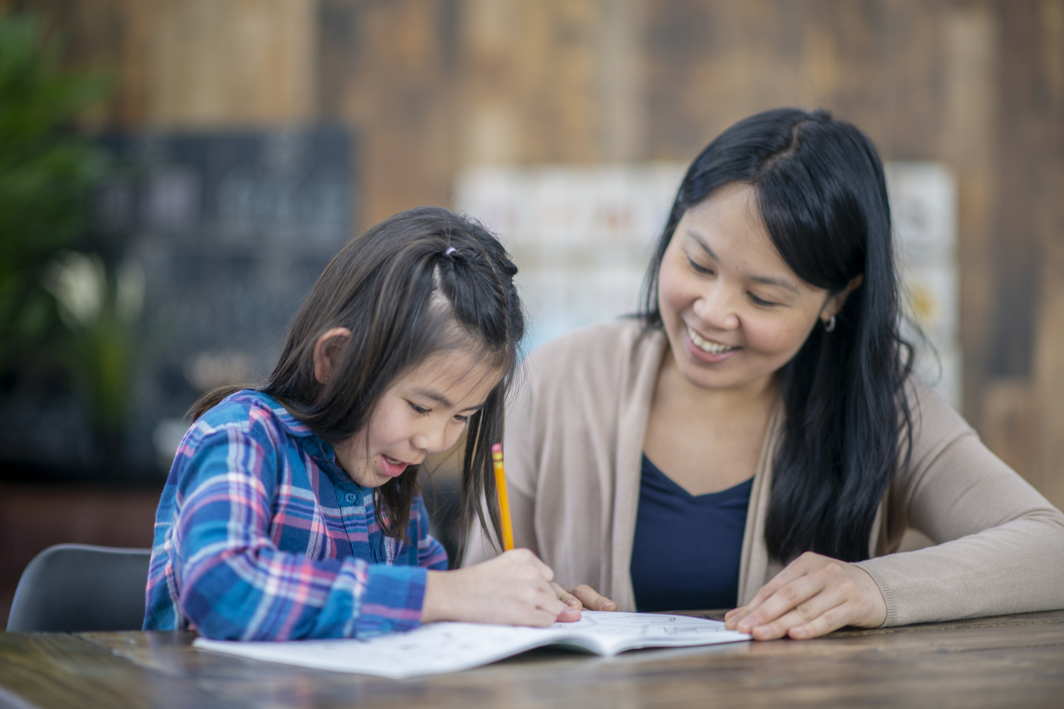 Professional Development and the Common Core