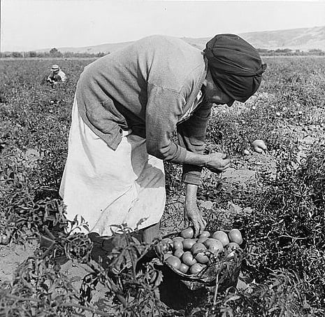 Esperanza Rising: Learning Not to Be Afraid to Start Over 