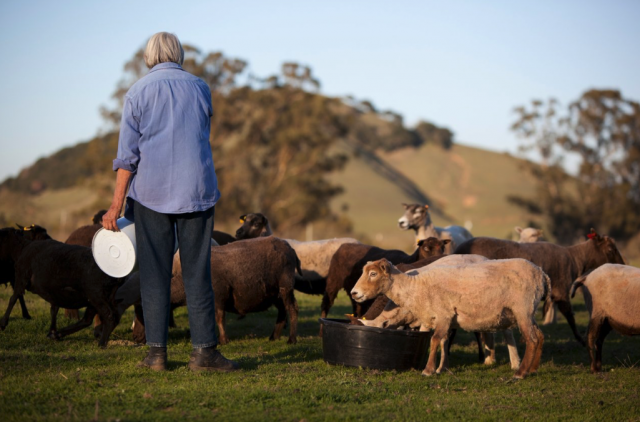 Rethinking the Fabrics We Wear | Global Oneness Project