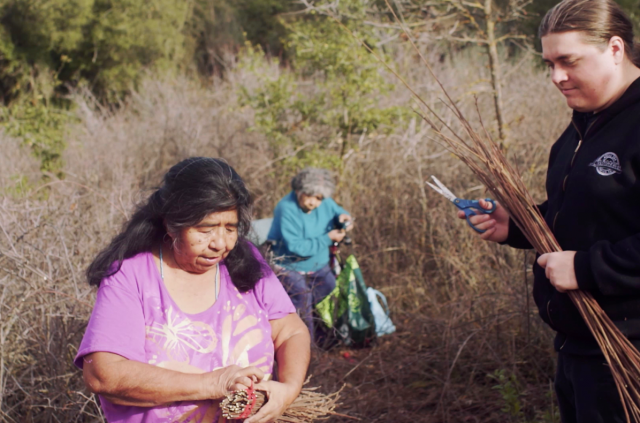 The Importance of Indigenous Language Revitalization | Global Oneness Project
