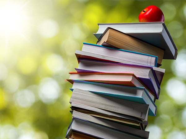 Common Core #6: 7th grade guide